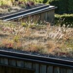 Urbanisme : installer une toiture végétalisée pour faire face aux fortes chaleurs ?