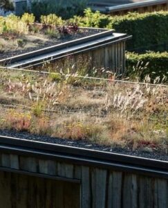 Urbanisme : installer une toiture végétalisée pour faire face aux fortes chaleurs ?